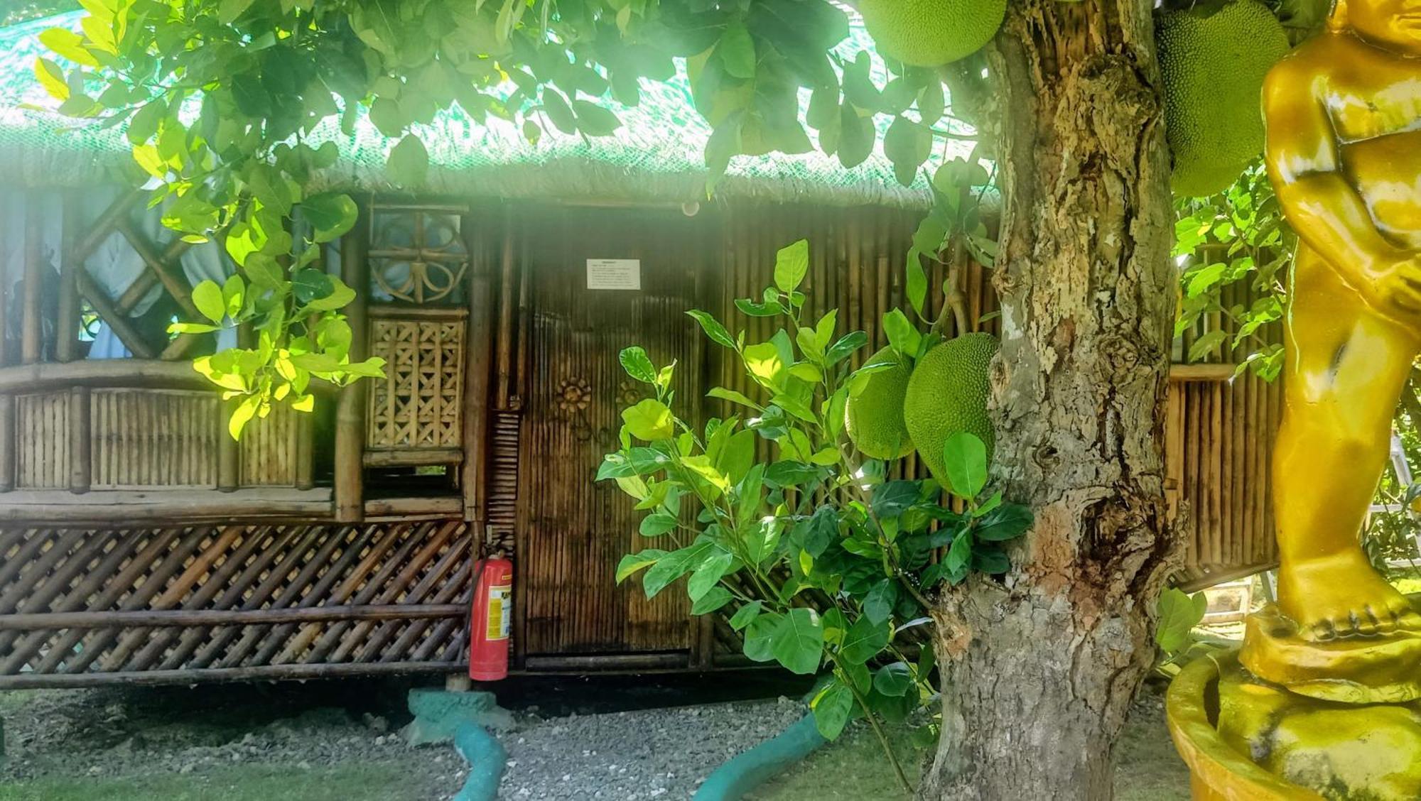 Moalboal Bamboo House / Rooms Quarto foto